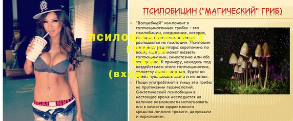 гашишное масло Аркадак