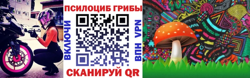 Псилоцибиновые грибы GOLDEN TEACHER где продают Краснодар